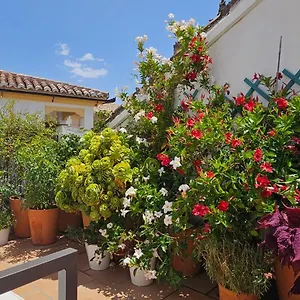 Apartment Descalzos Angel With Private Terrace Free Parking, Ronda